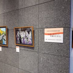 未来へ伝えたい中津のたから展展示風景１