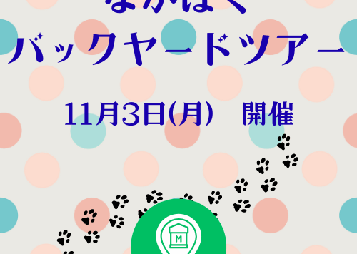 なかはくバックヤードツアーアイキャッチ